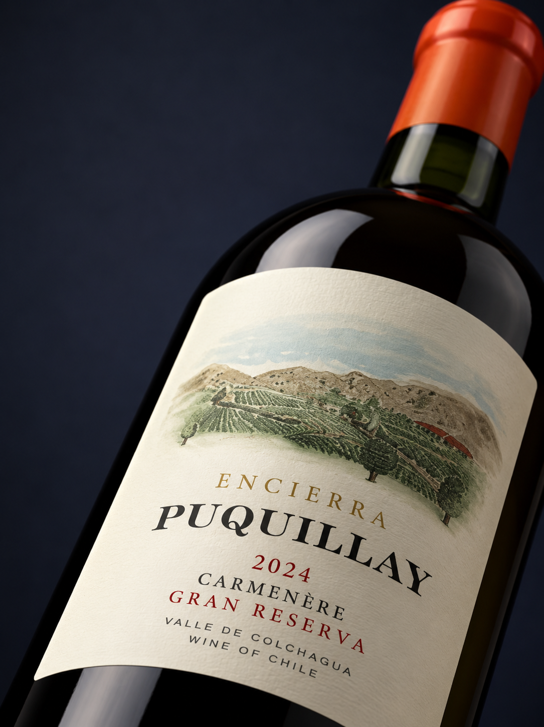 Botella Puquillay Gran Reserva 2024 Puquillay Carmenere- Gran Reserva 2024 (750 ml) - Imagen 1