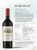 Puquillay Carmenere 2024 (750 ml) - Imagen 2