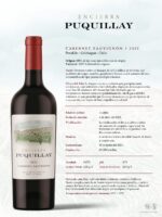 Puquillay Cabernet Sauvignon 2022 (750 ml) - Imagen 2