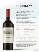 Puquillay Cabernet Sauvignon 2022 (750 ml) - Imagen 2
