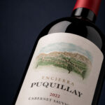 Puquillay Cabernet Sauvignon 2022 (750 ml)
