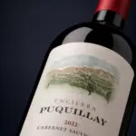 Puquillay Cabernet Sauvignon 2022 (750 ml)