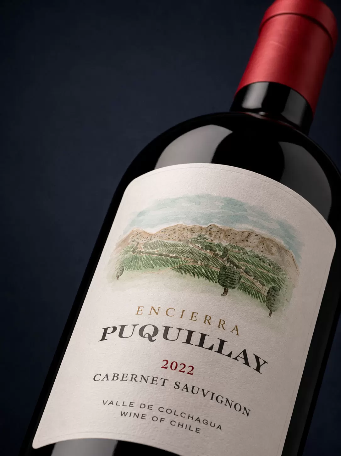 P-CAMERENE-SOUVINONG Puquillay Cabernet Sauvignon 2022 (750 ml) - Imagen 1