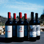 Caja Premium(6 botellas)